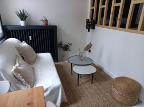 Lumière Superbe petit appartement proche cité du design et stade Geoffroy Guichard